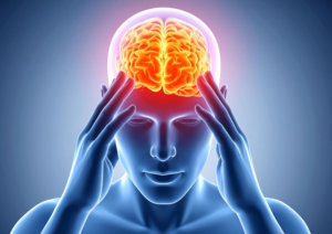 Peut-on éduquer notre cerveau à préférer la nourriture saine ?
