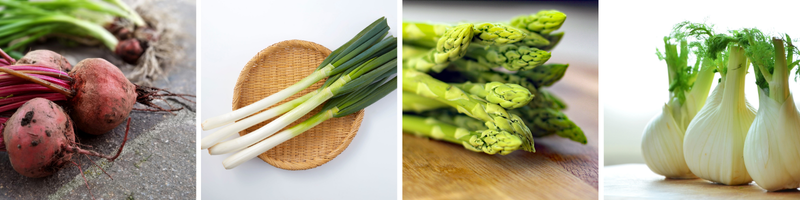 Bienfaits minceur de l'endive