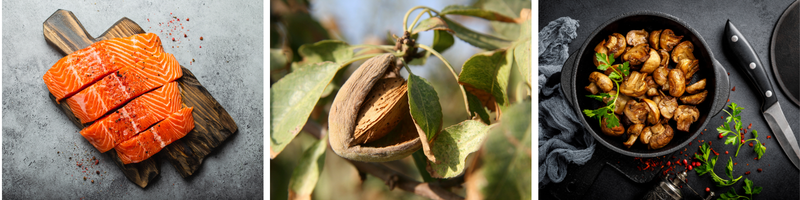 Recette de Saumon en croûte